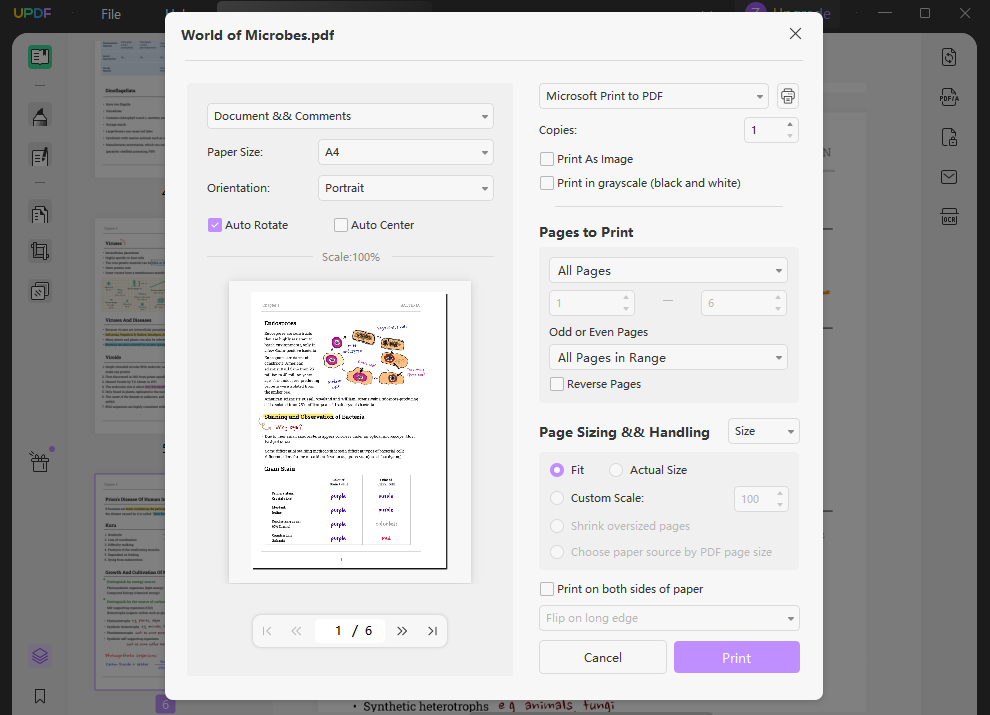 C Mo Imprimir Varios Archivos Pdf A La Vez En Windows Y Mac