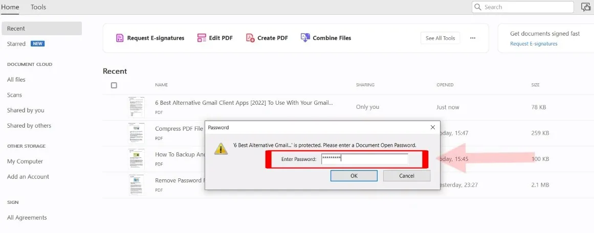 convert protected pdf to word enter password adobe