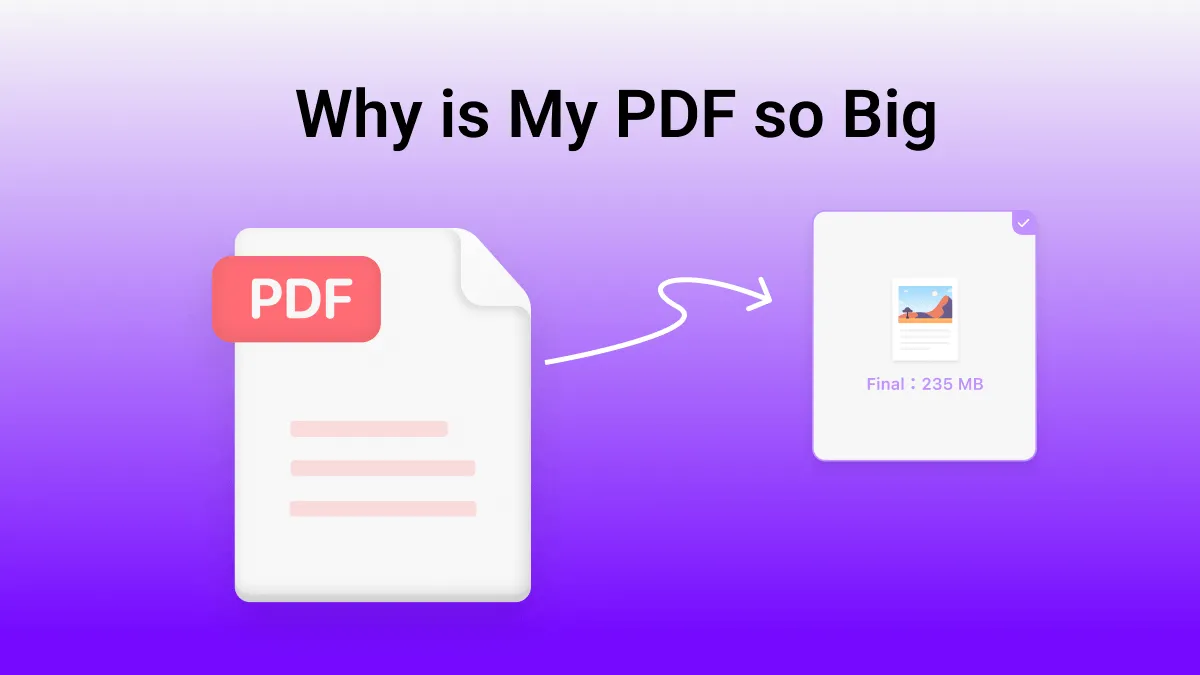 All Essential Information Related to Why is My PDF So Big