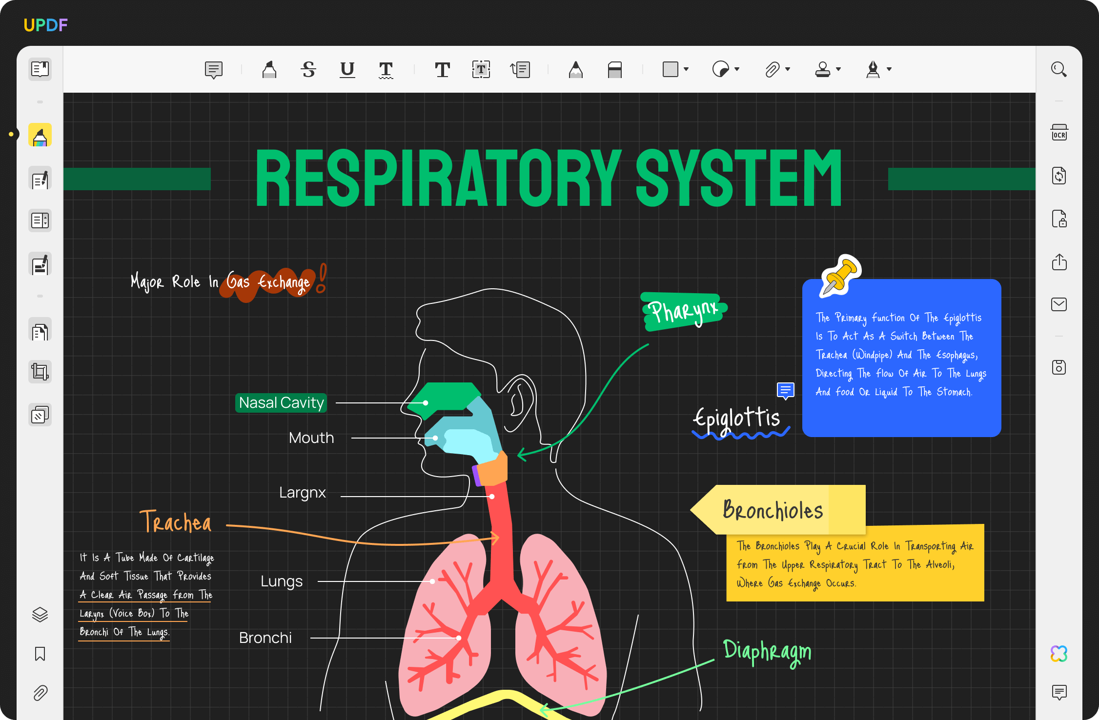 Windows용 UPDF PDF 리더기