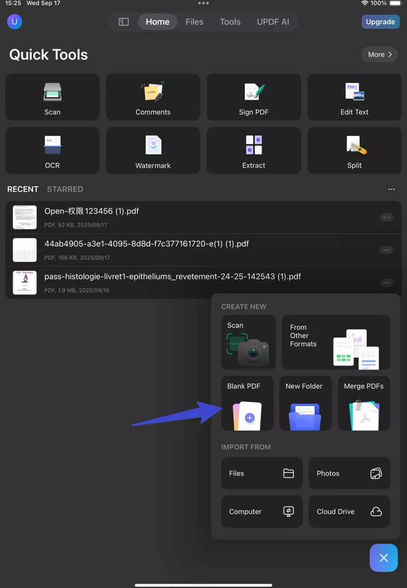 create pdf for ipad