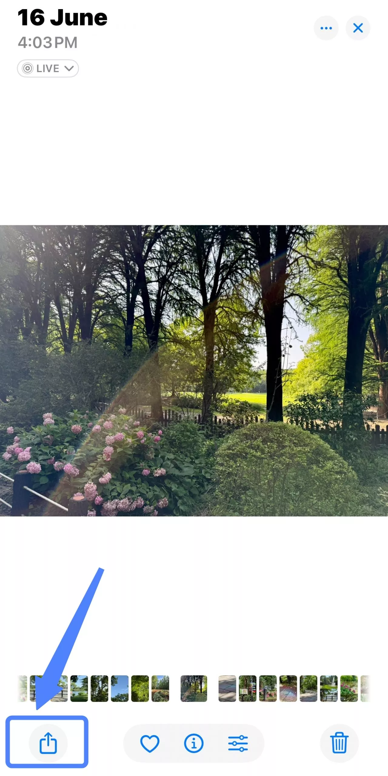 انقر على ”مشاركة“ في iPhone