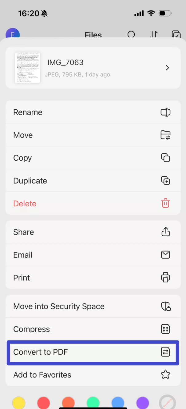 convert to pdf