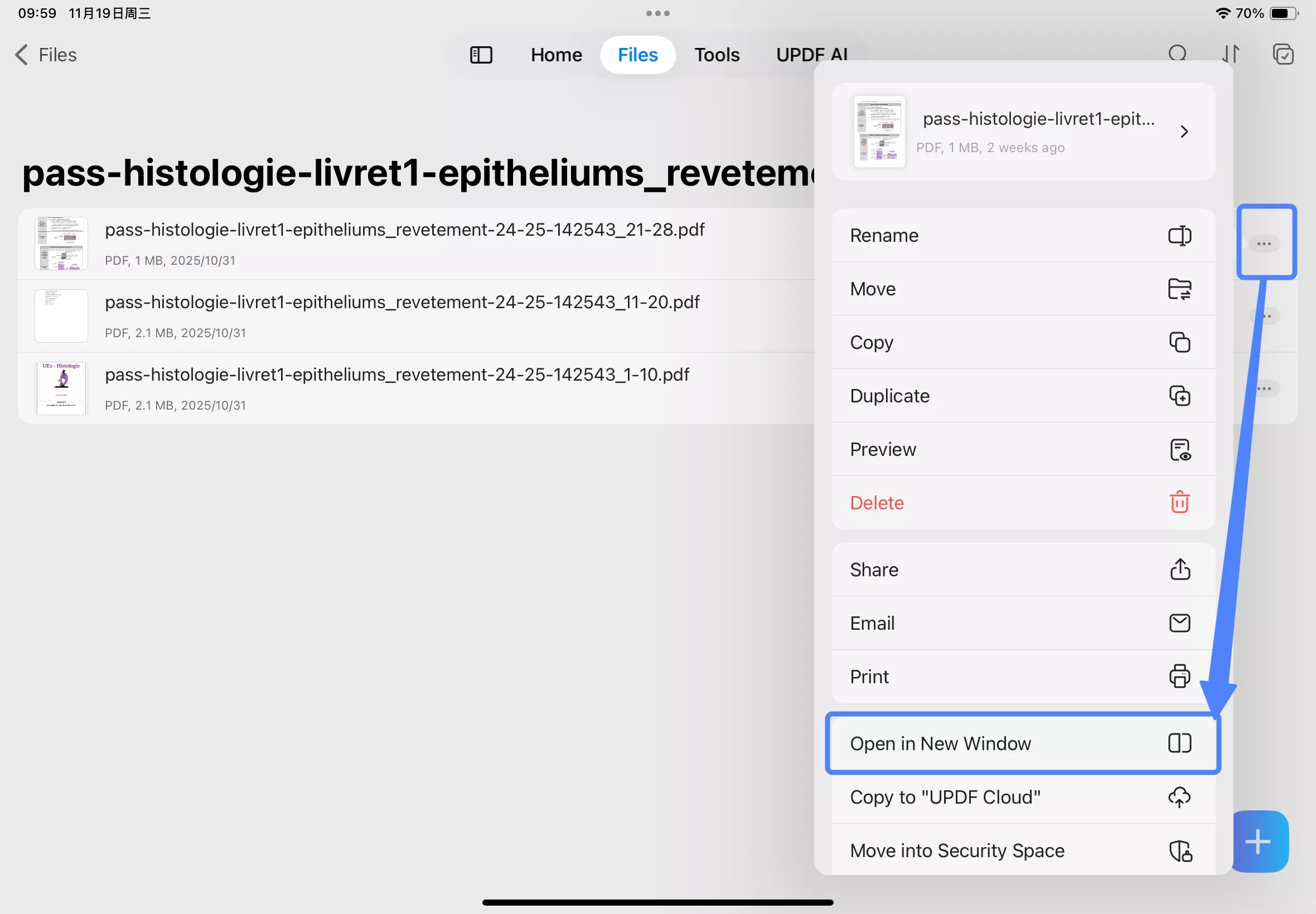 open in new window ipad