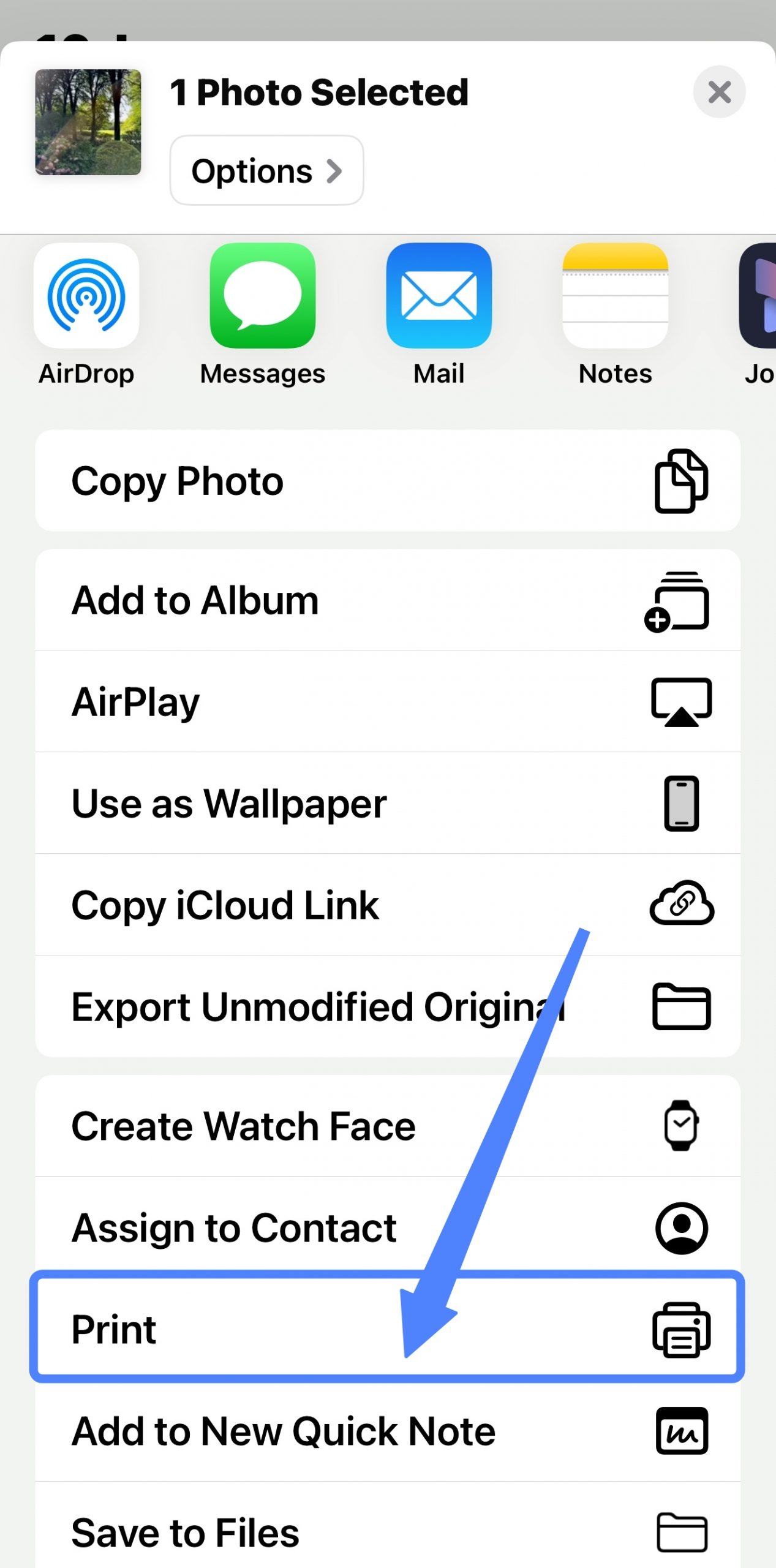 print from the share menu