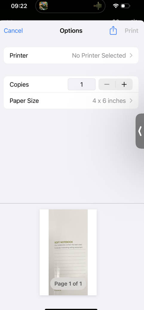 print image to save picture as pdf iphone