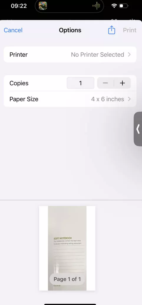 print image to save picture as pdf iphone