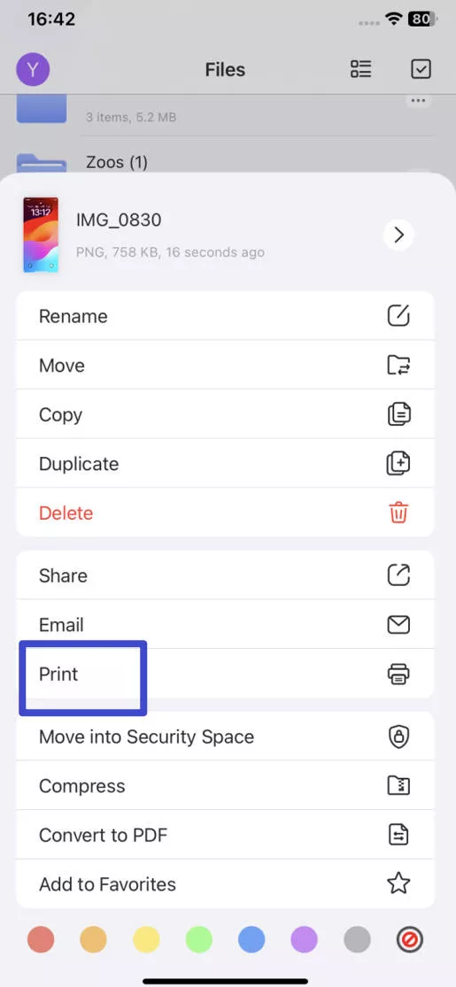 print updf ios