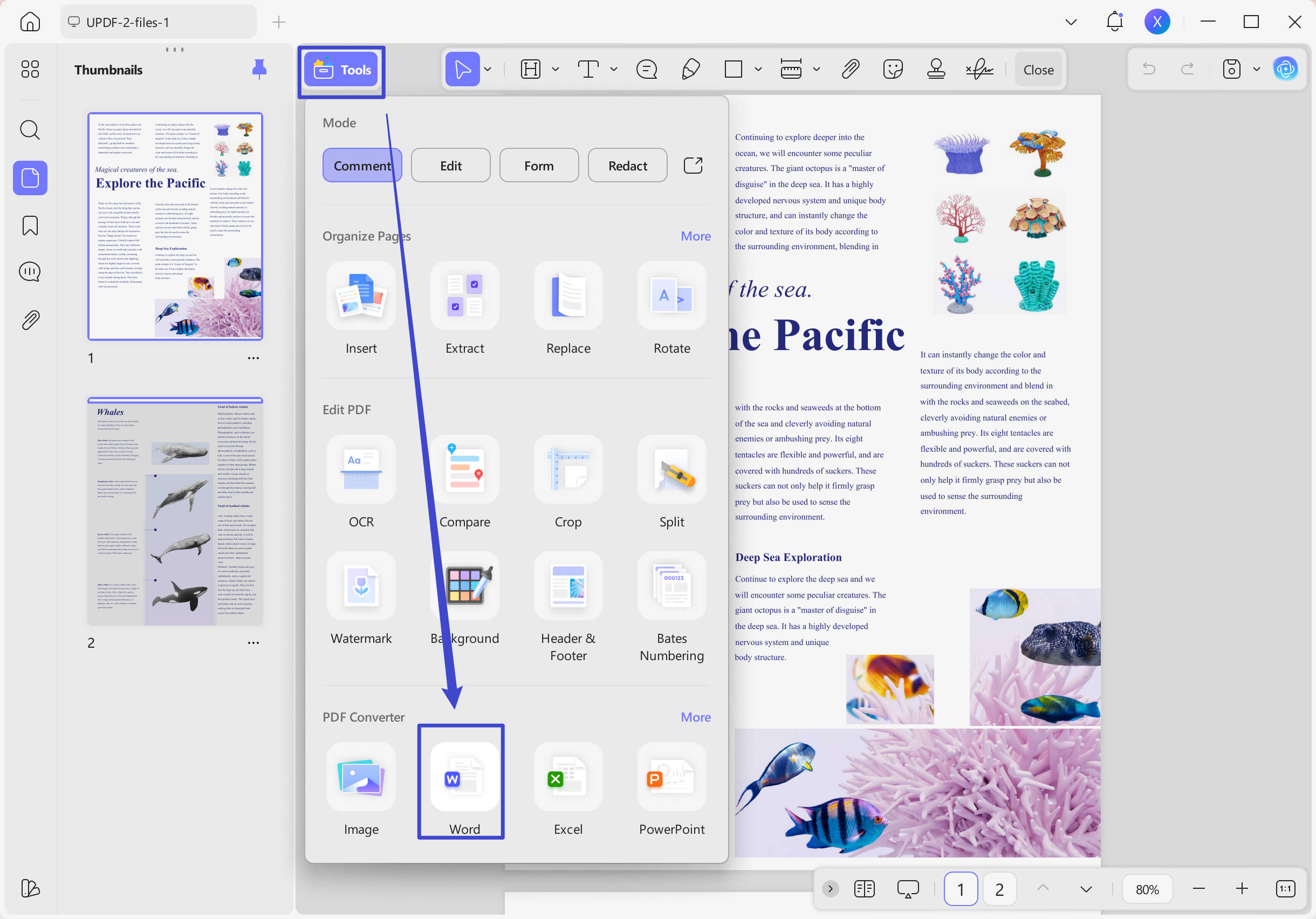 convert PDF to Word