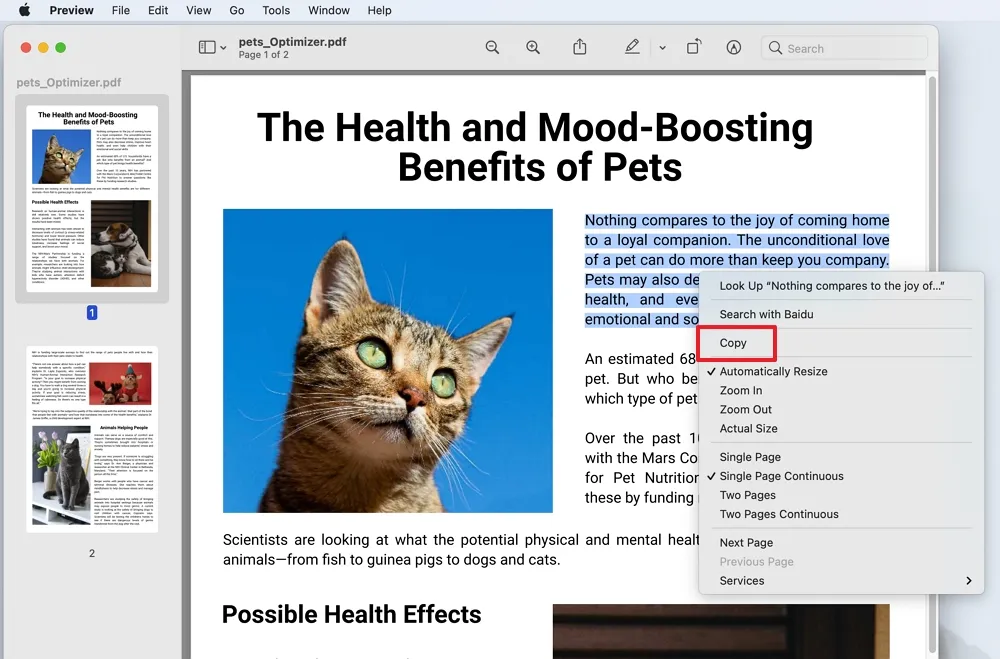 Leitor de PDF para Mac