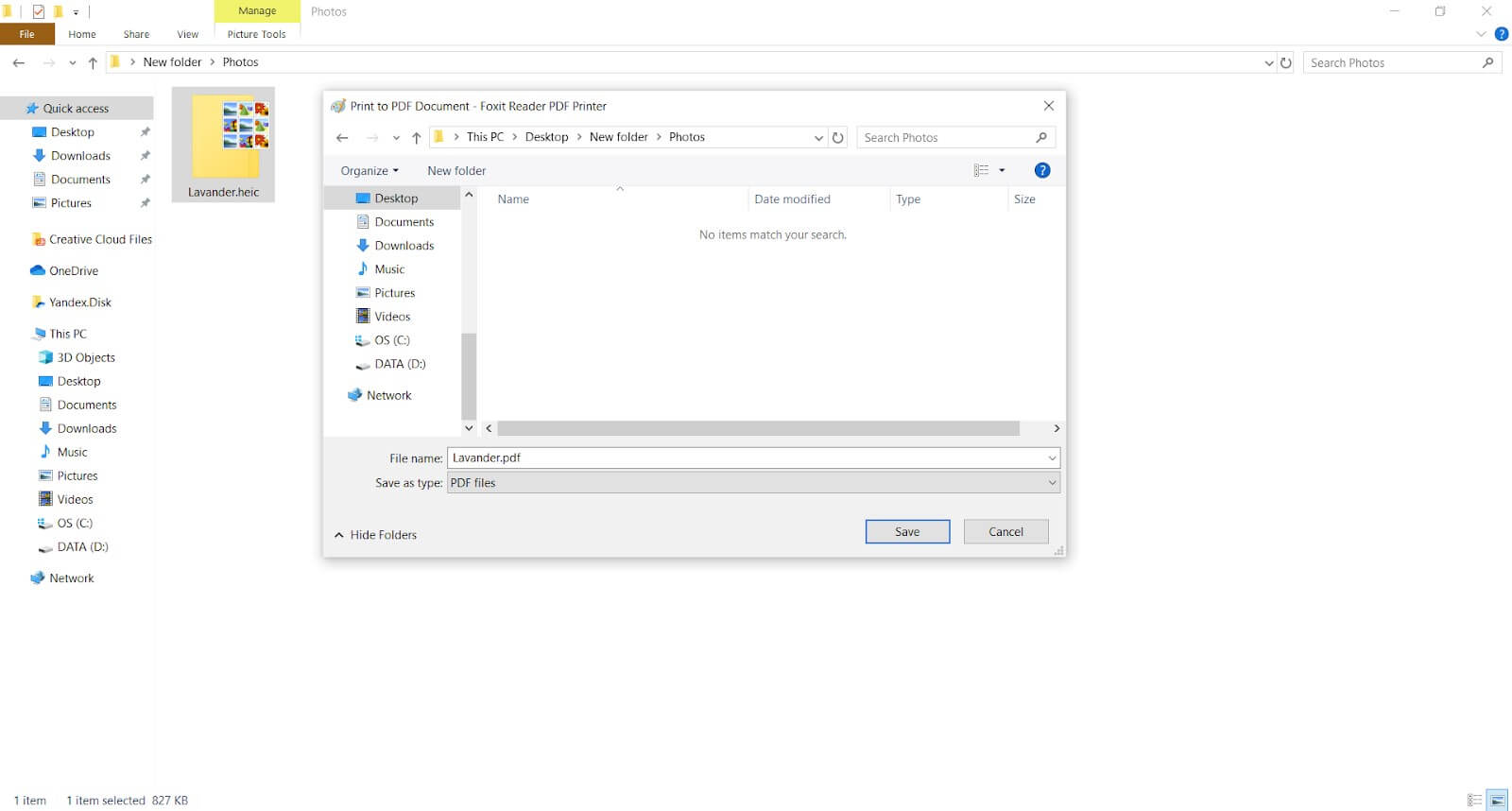 Foxit Reader pdf