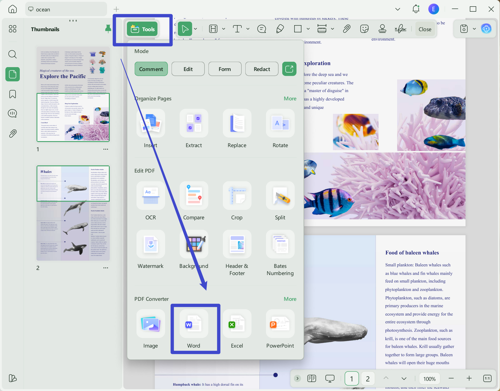 pdf to wps word converter
