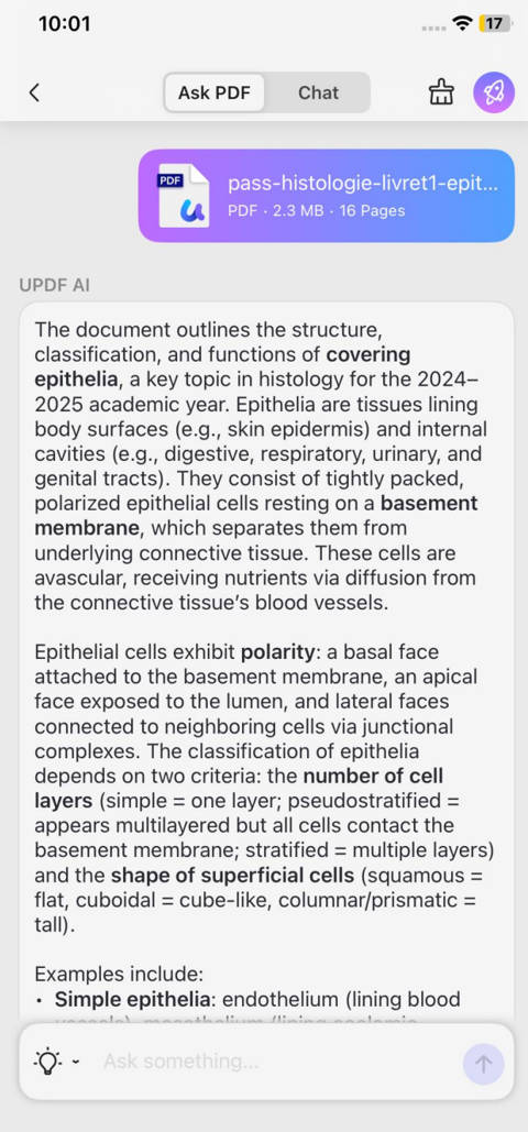 summarizing the uploaded pdf with updf ai on iphone