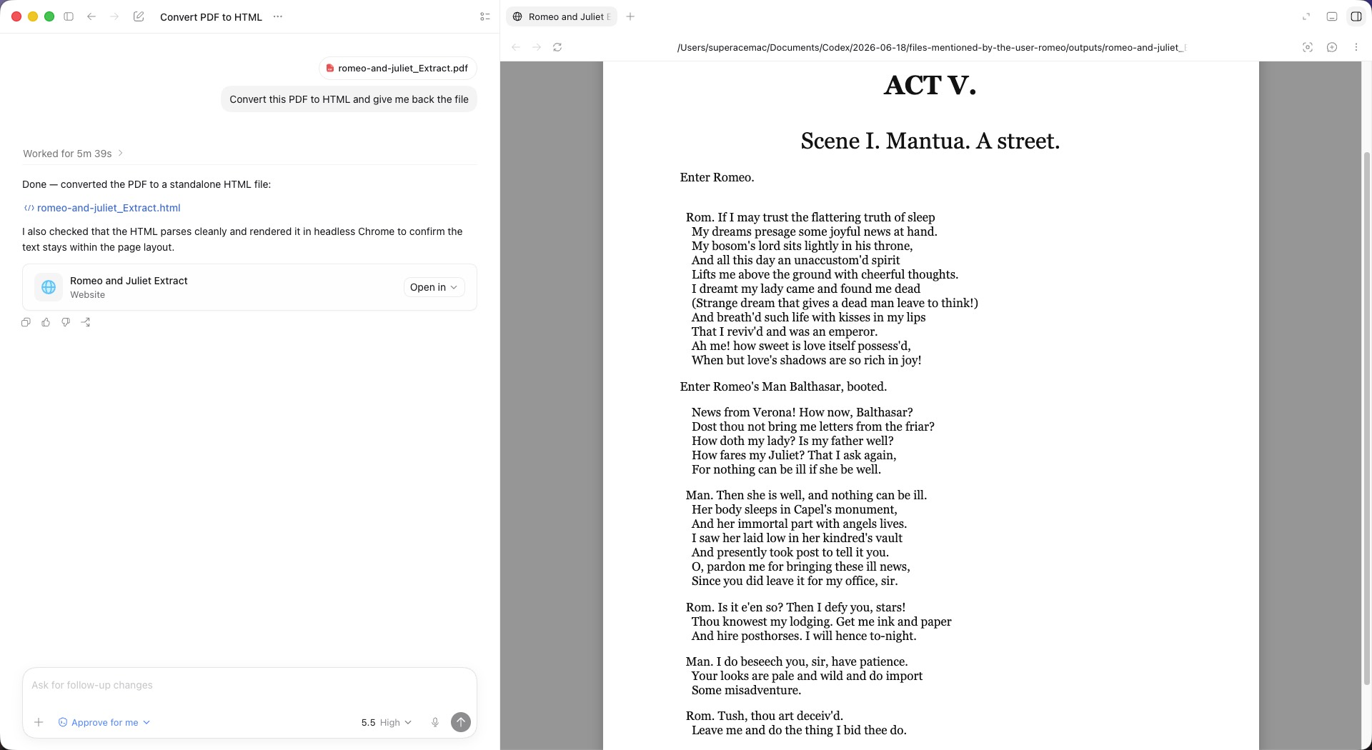 codex converts to html steps