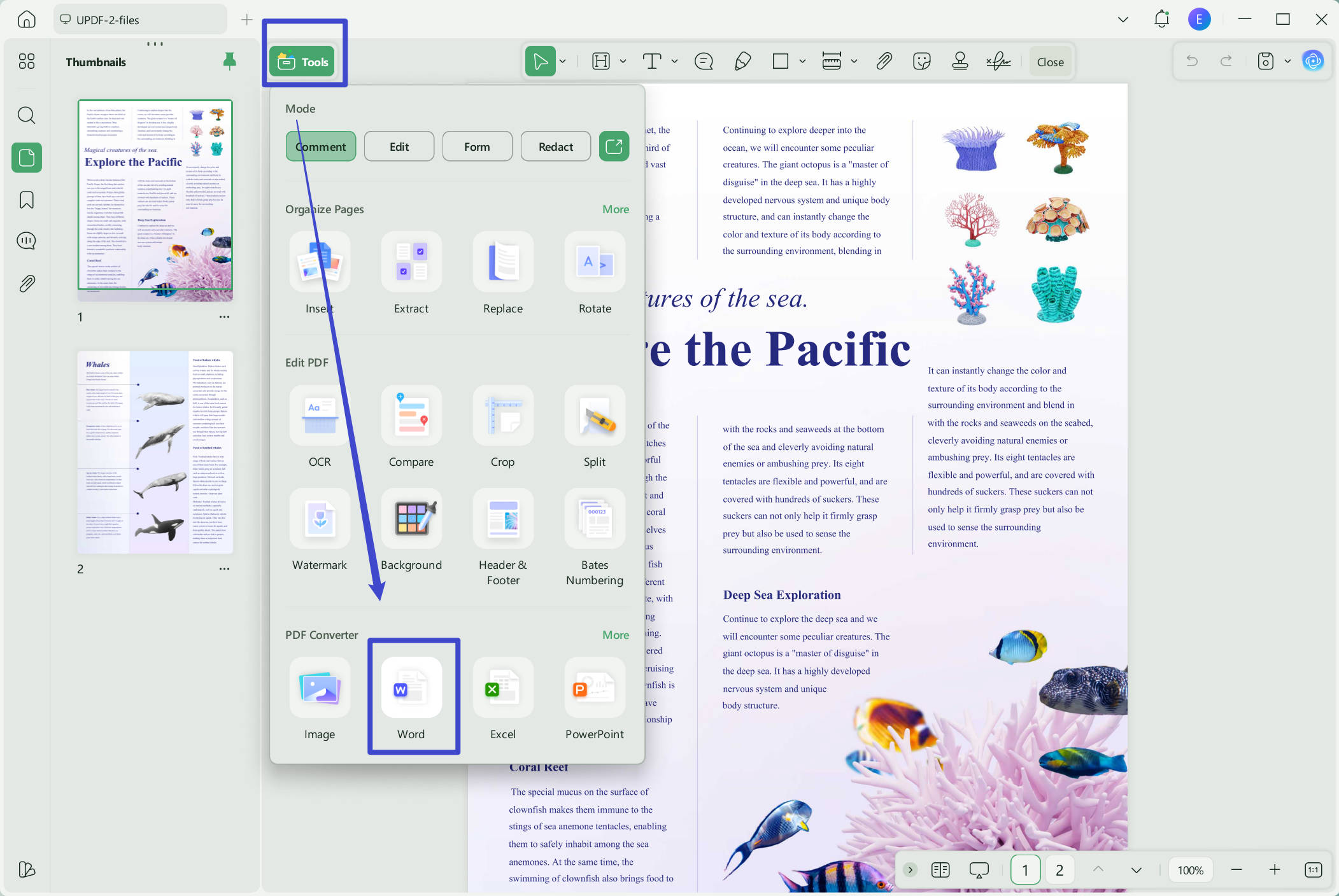 open pdf in word by exporting