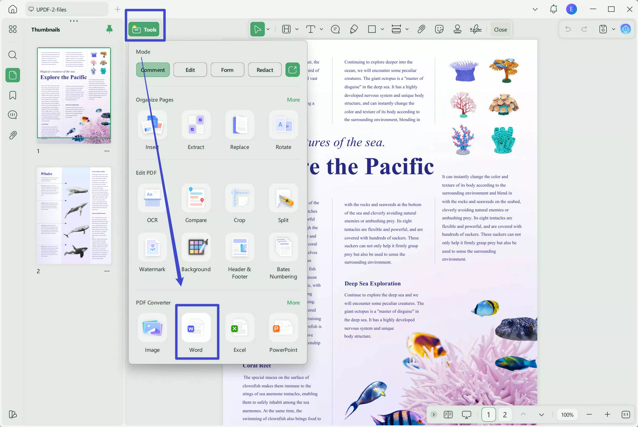 open pdf in word by exporting