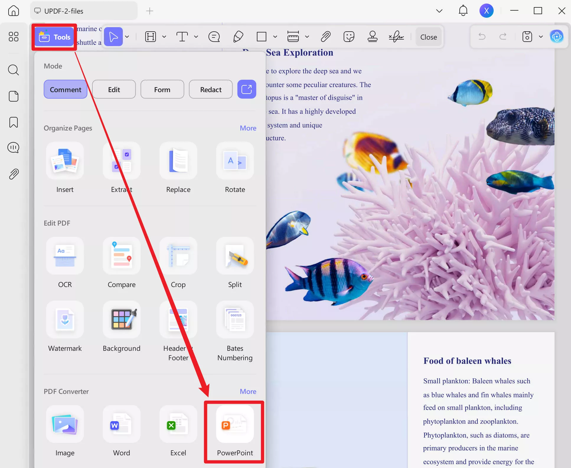 convert pdf to ppt