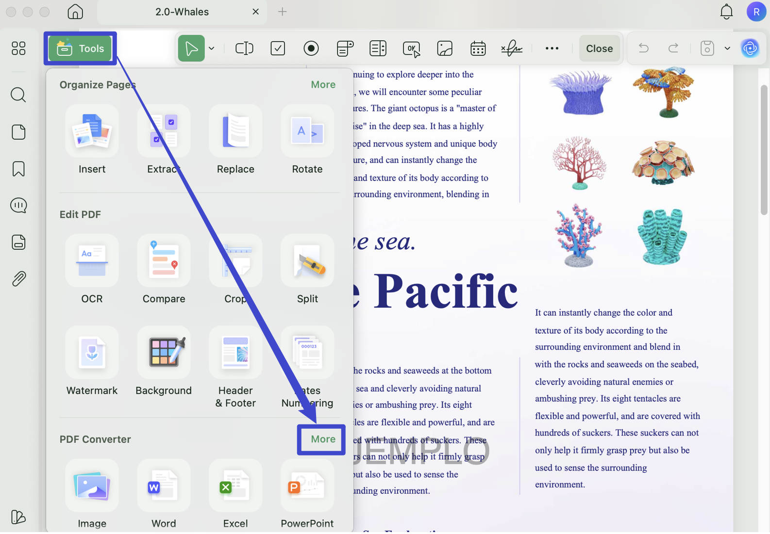 pdf to csv