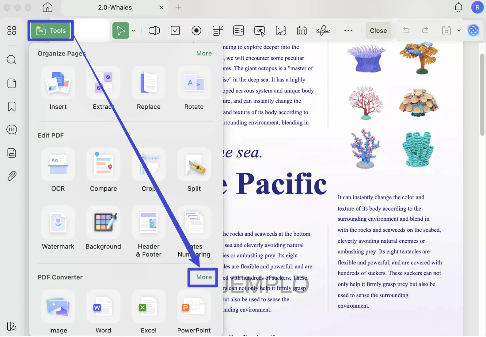 more pdf converters updf mac