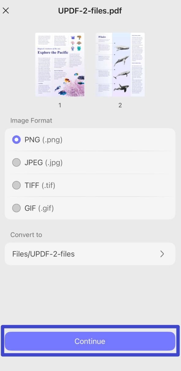 Choose the output format you need, then click "Continue"