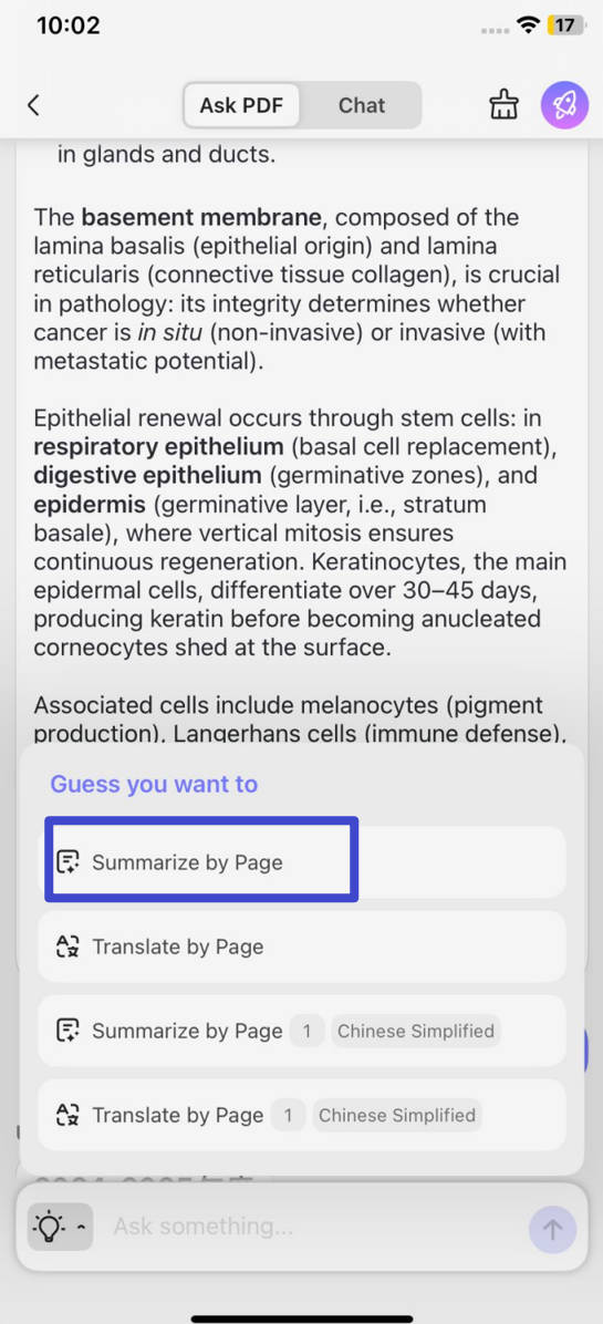 select summarize by page in updf for ios