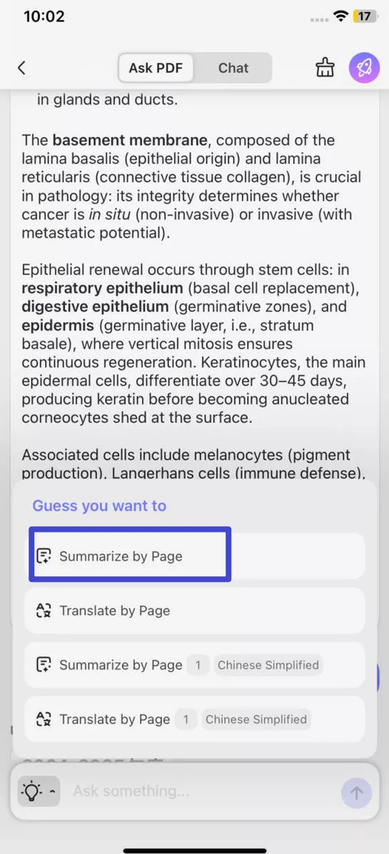 select summarize by page in updf for ios
