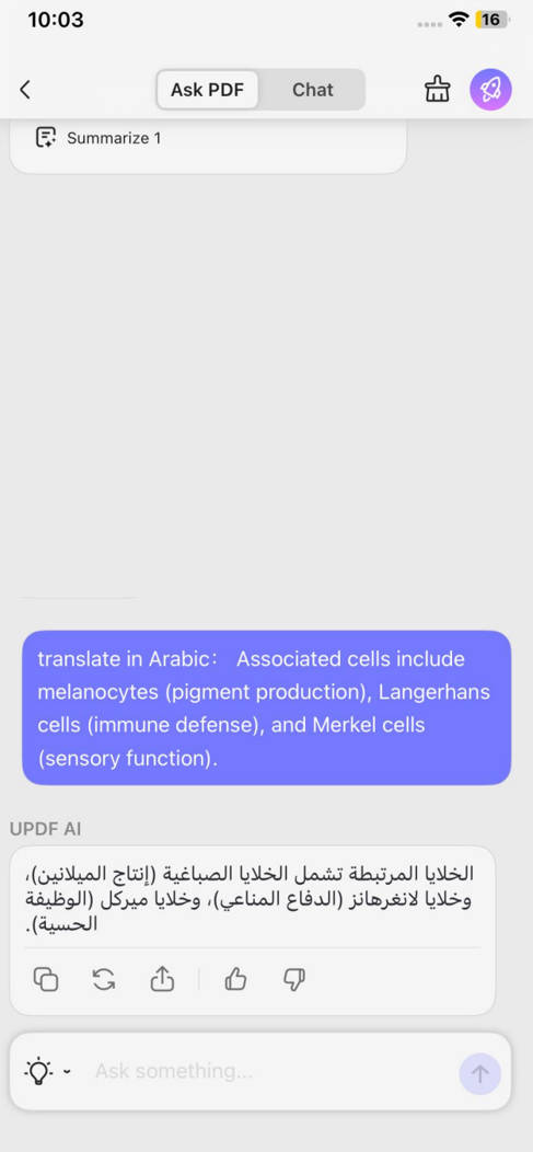 translating pdf text with updf ai for iOS