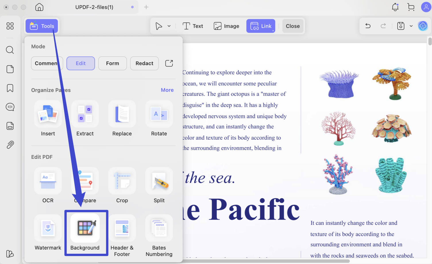 how to edit pdf on macbook