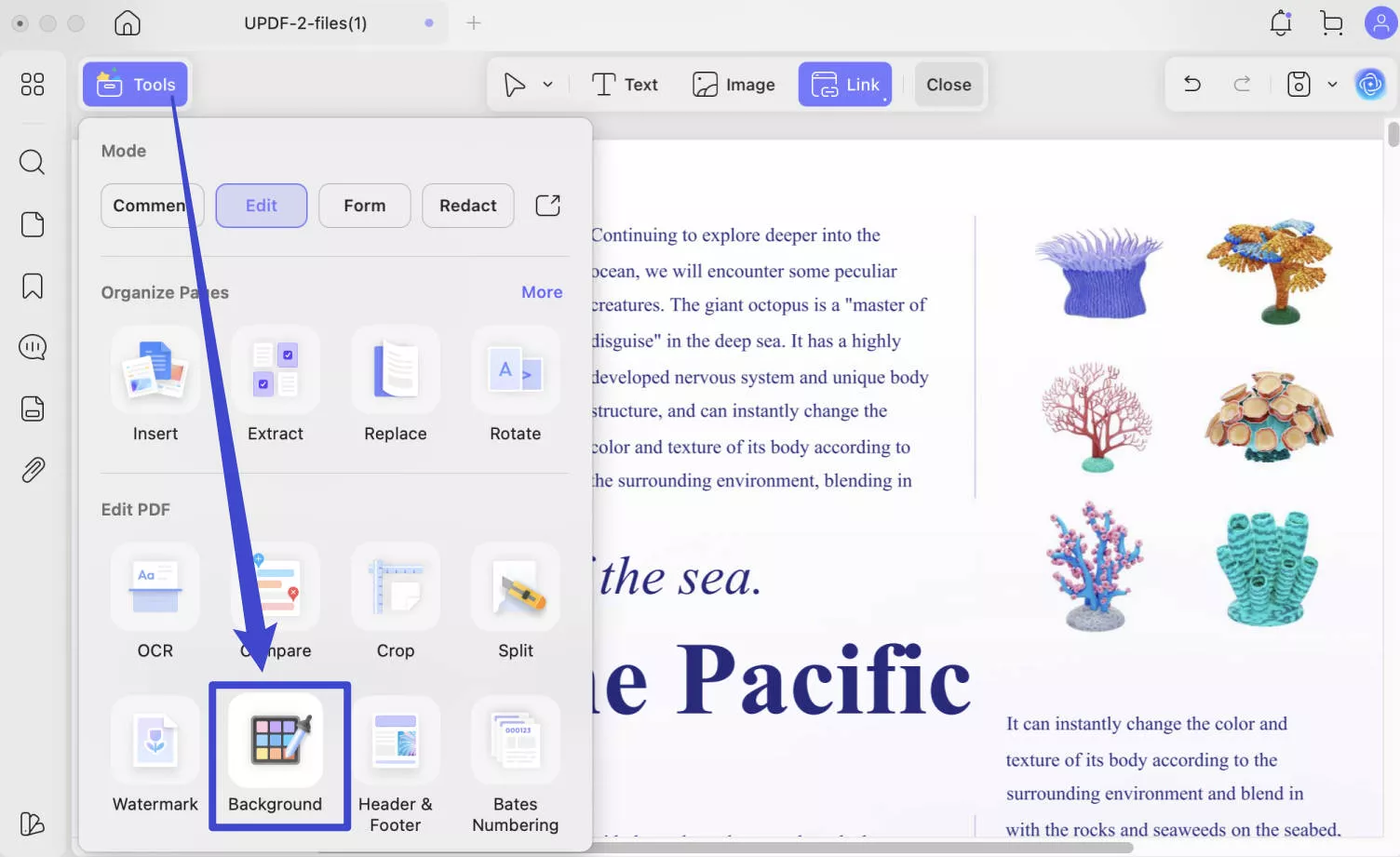 how to edit pdf on macbook