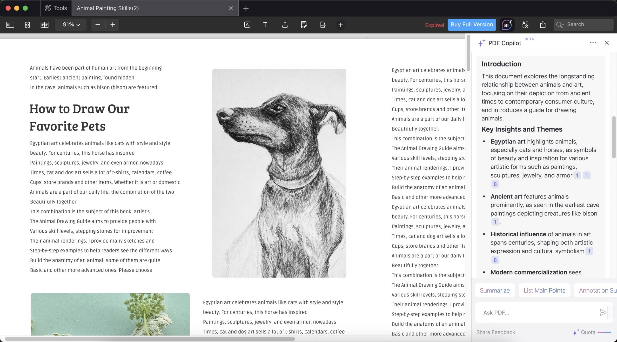 pdf expert version 3.11 interface