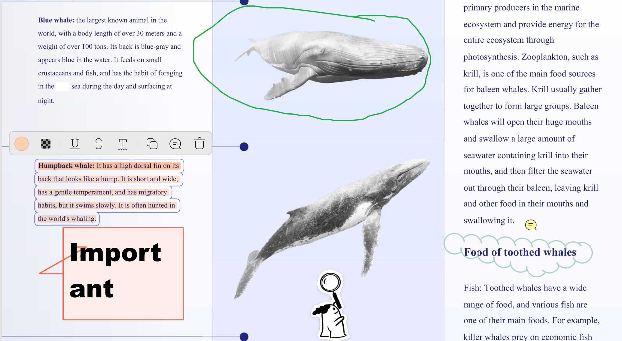 annotate pdf step 4 review annotations