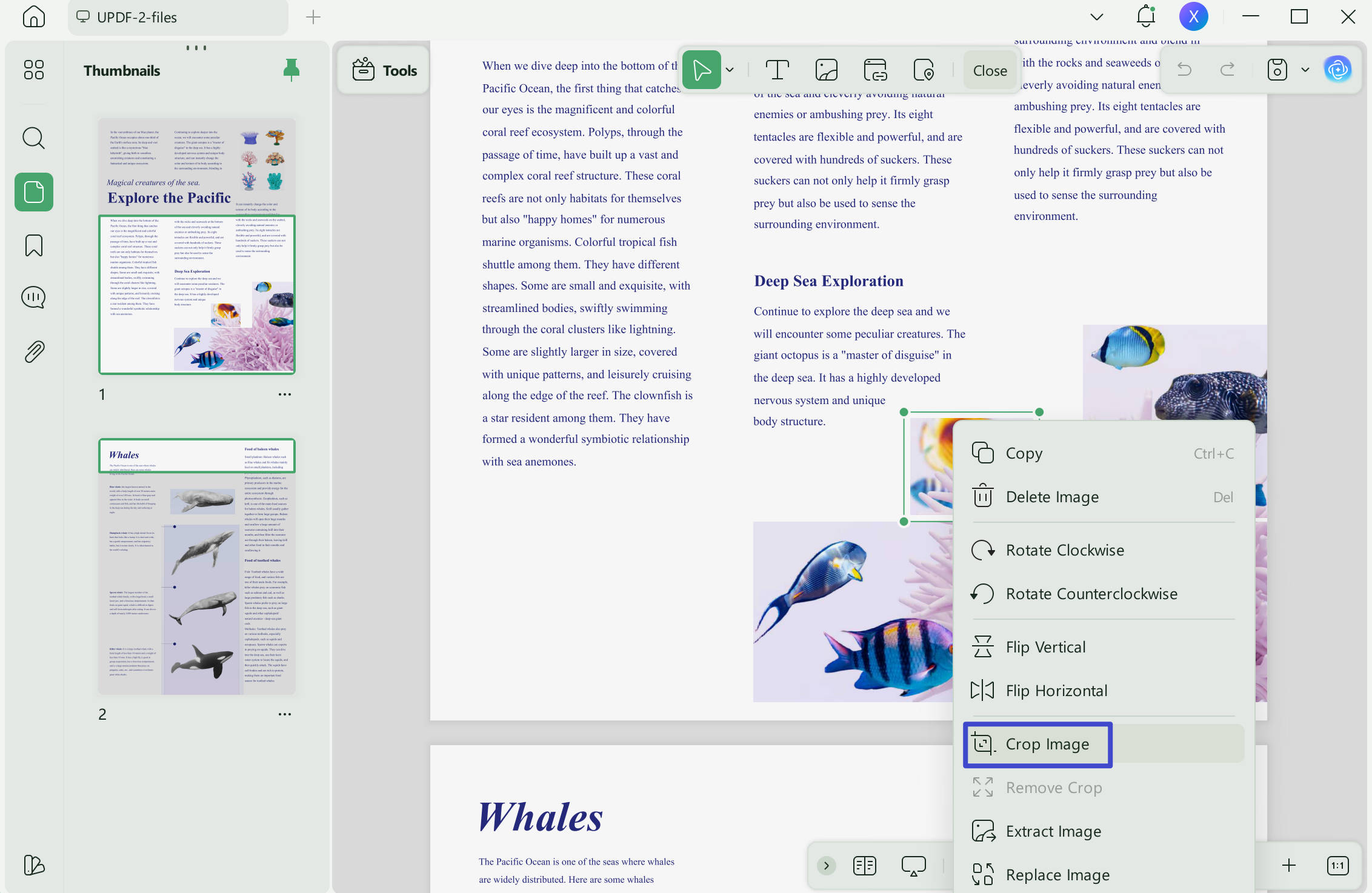 pdf image crop