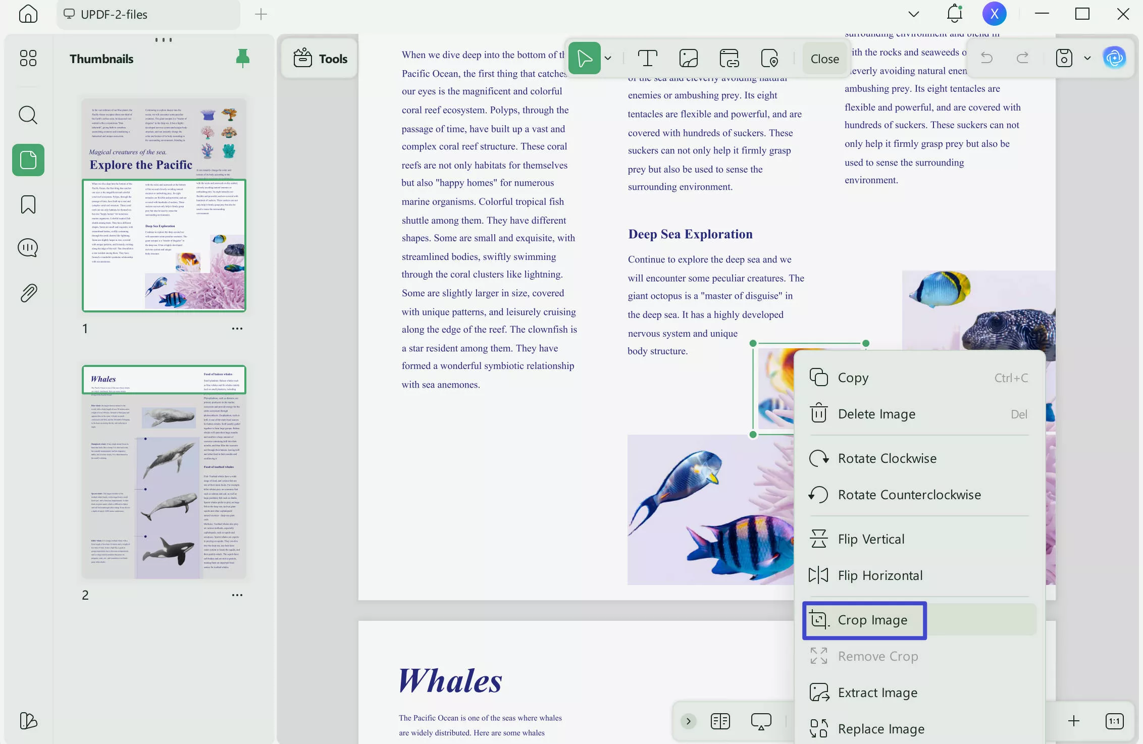 pdf image crop