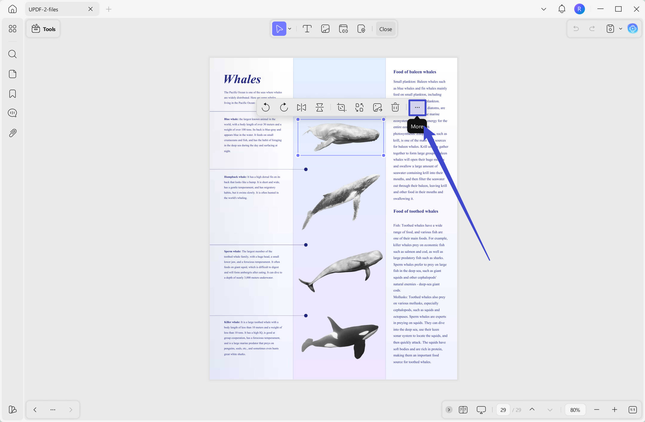 get more options to edit image in pdf with updf on Windows