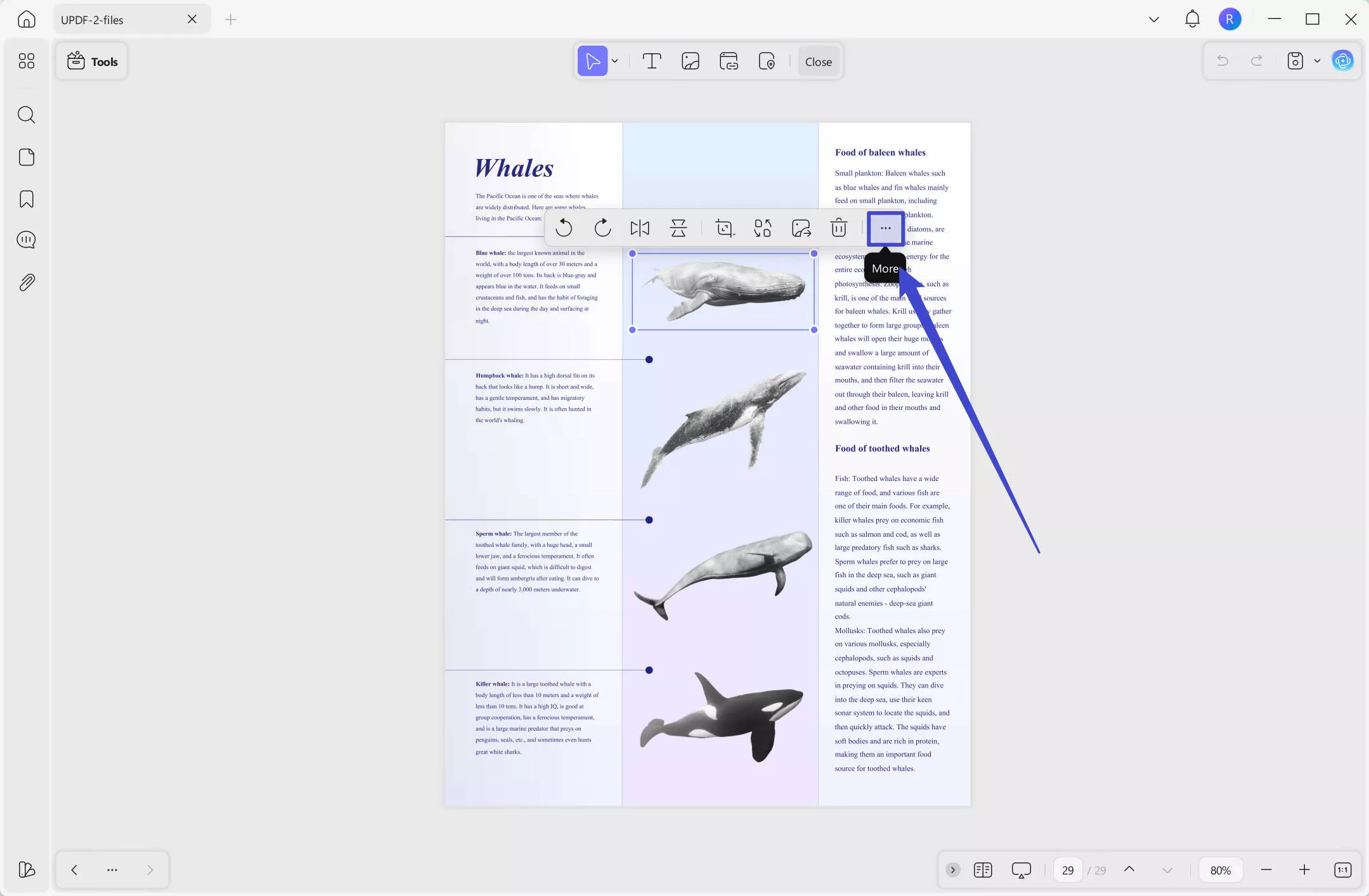 get more options to edit image in pdf with updf on Windows