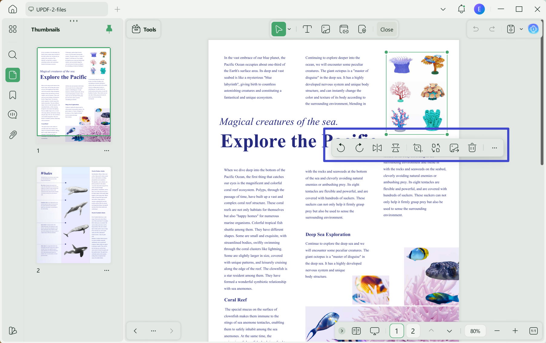 edit image in editing pdf