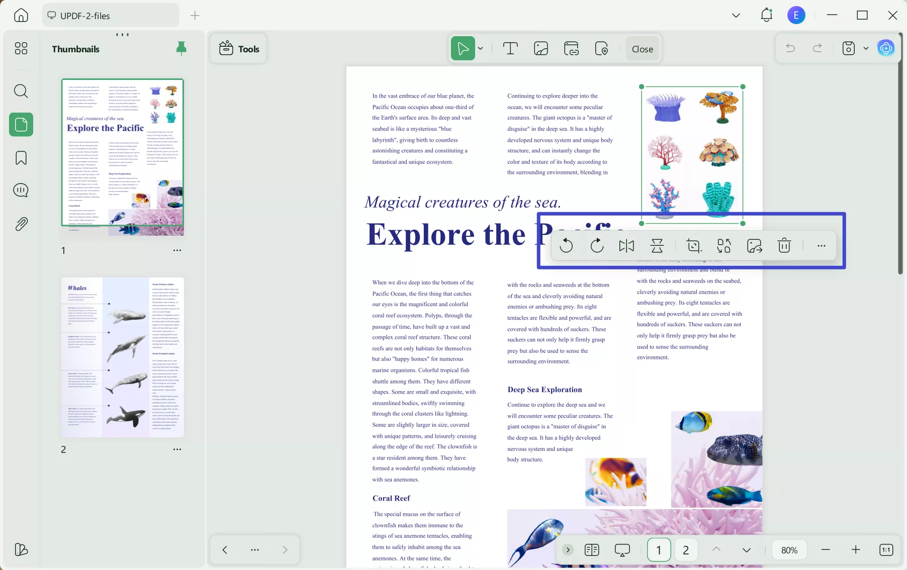 edit image in editing pdf
