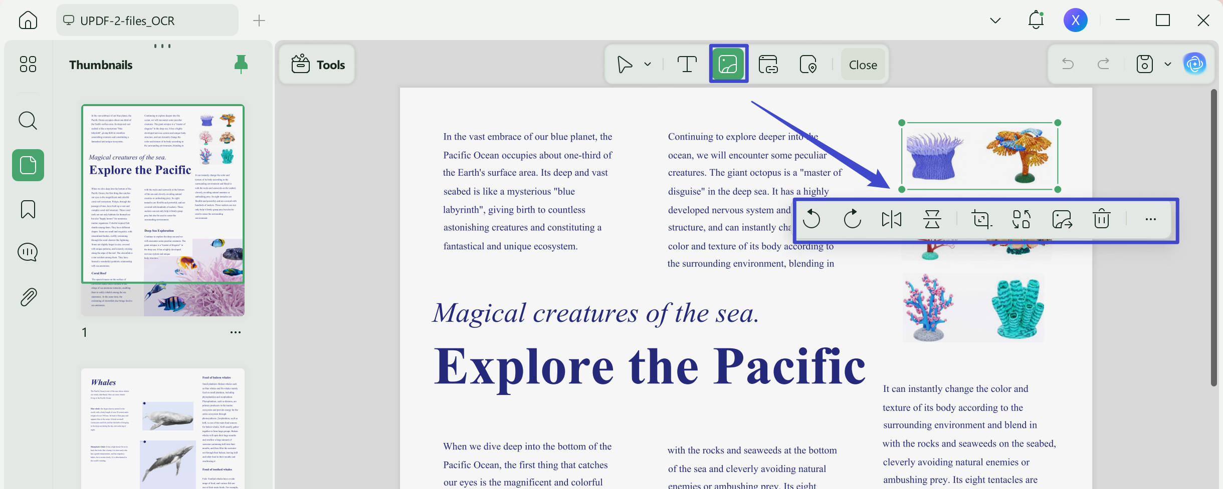 edit image updf