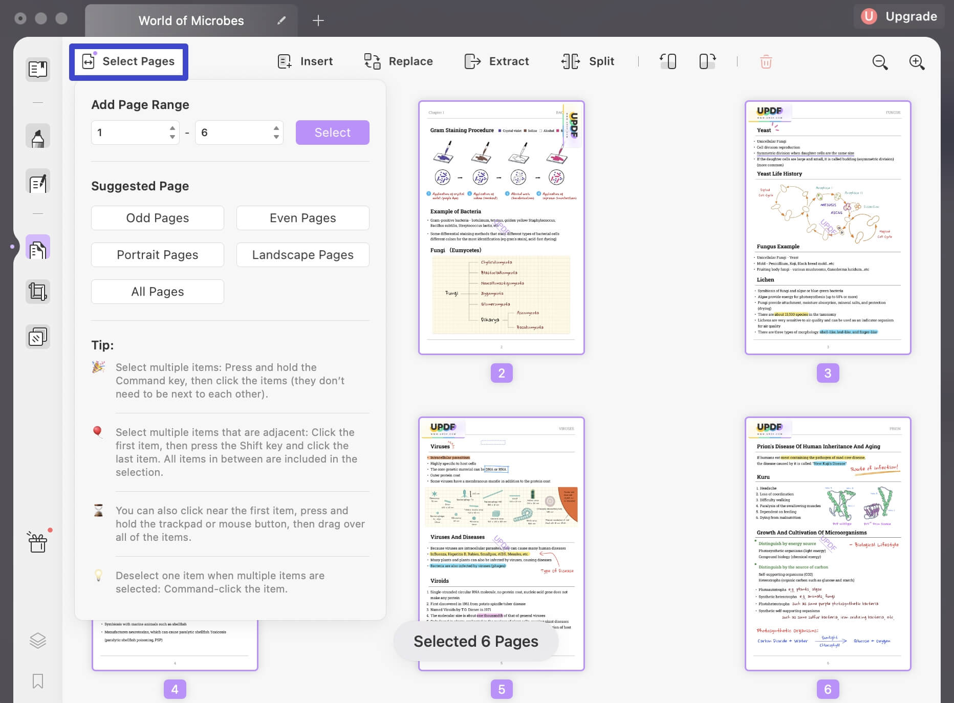 how-to-save-only-certain-pages-of-a-pdf-on-mac-updf