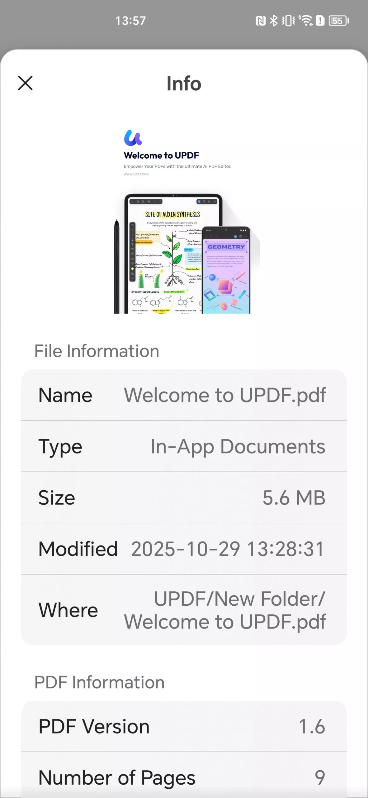 check the info of the pdf android