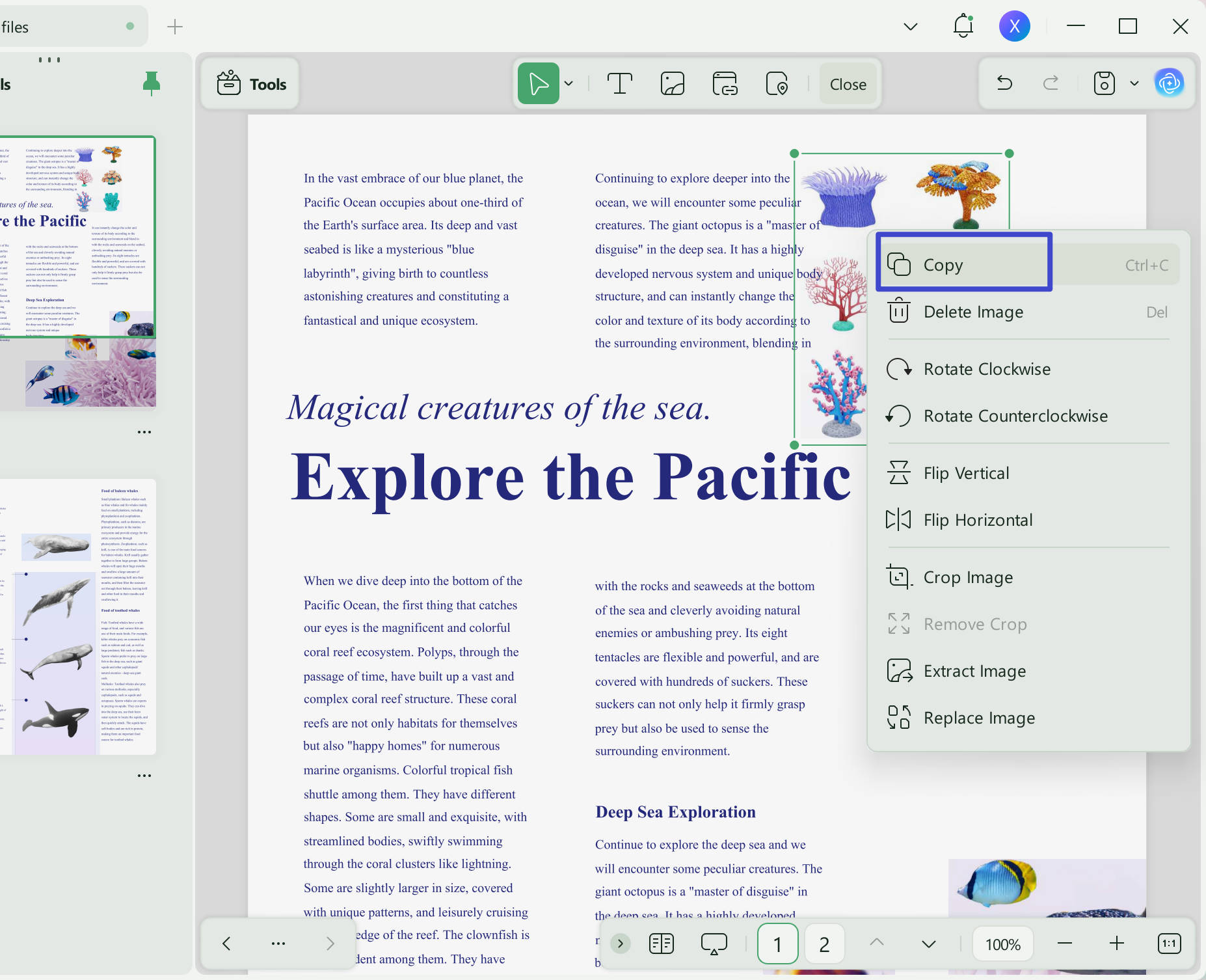 copy images in pdf