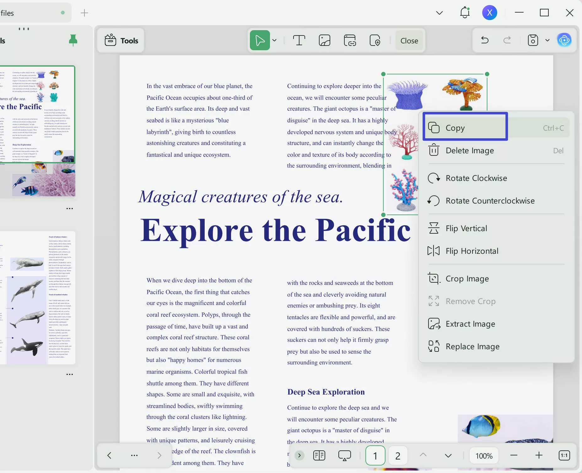 copy images in pdf