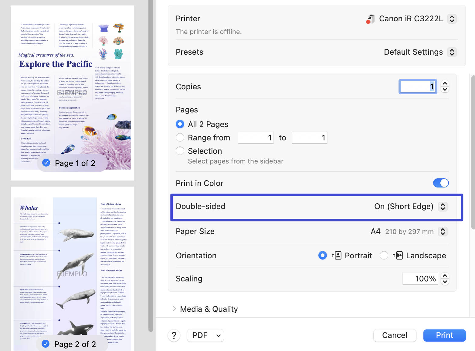 how to print double sided on mac pdf