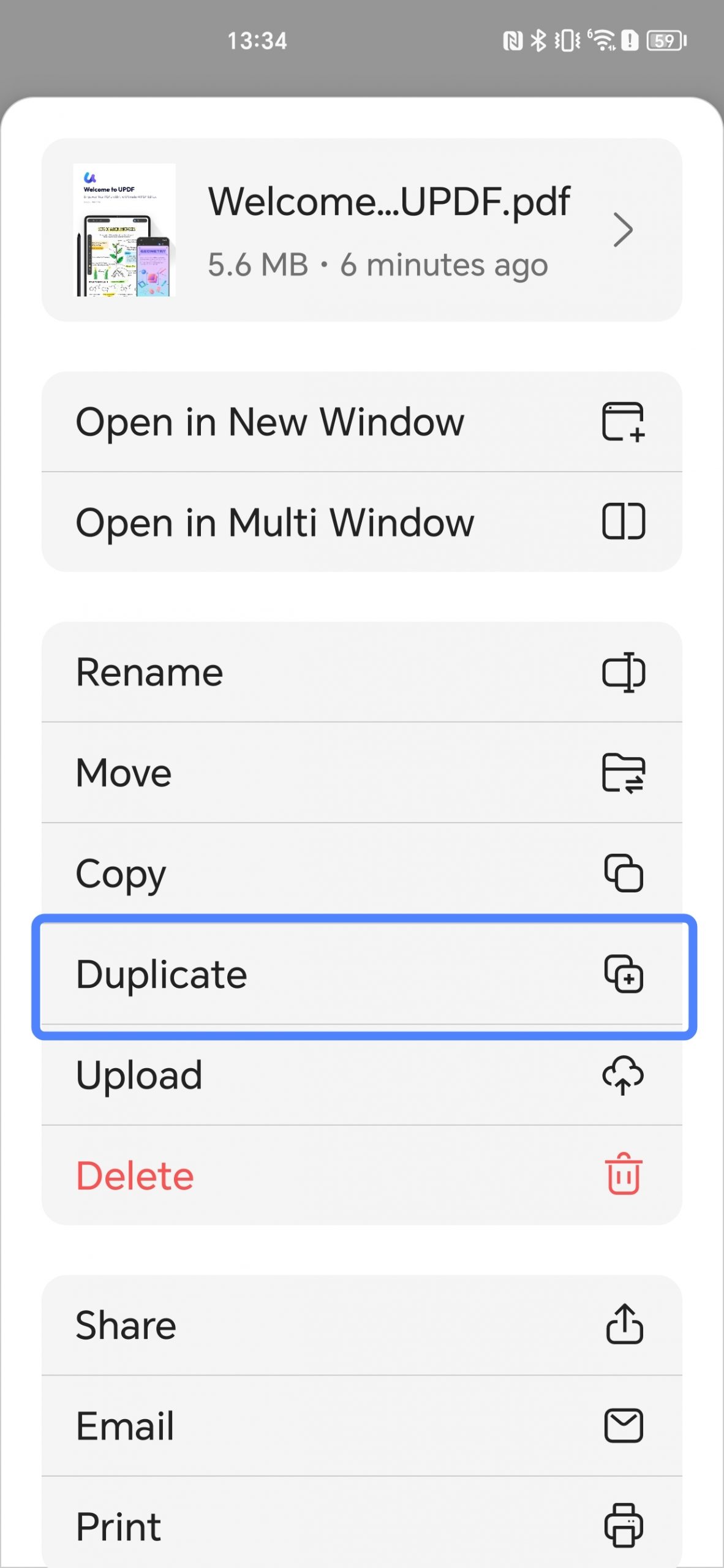 duplicate the pdf