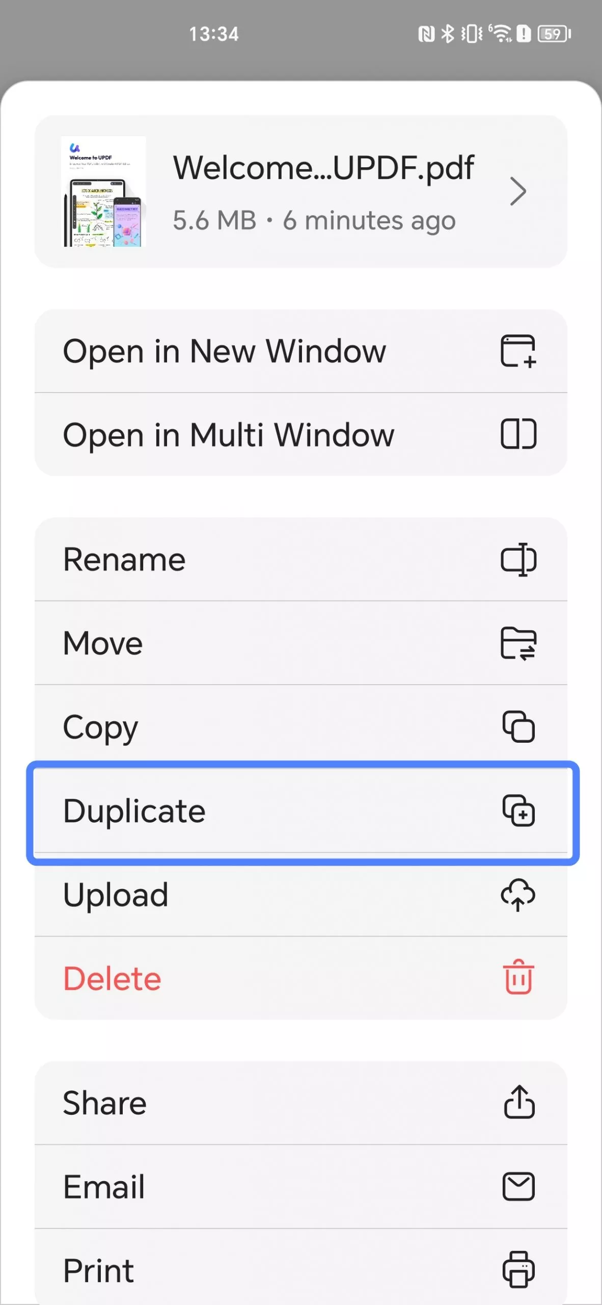 duplicate the pdf