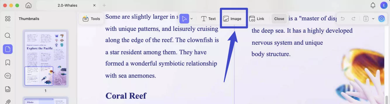click image tab