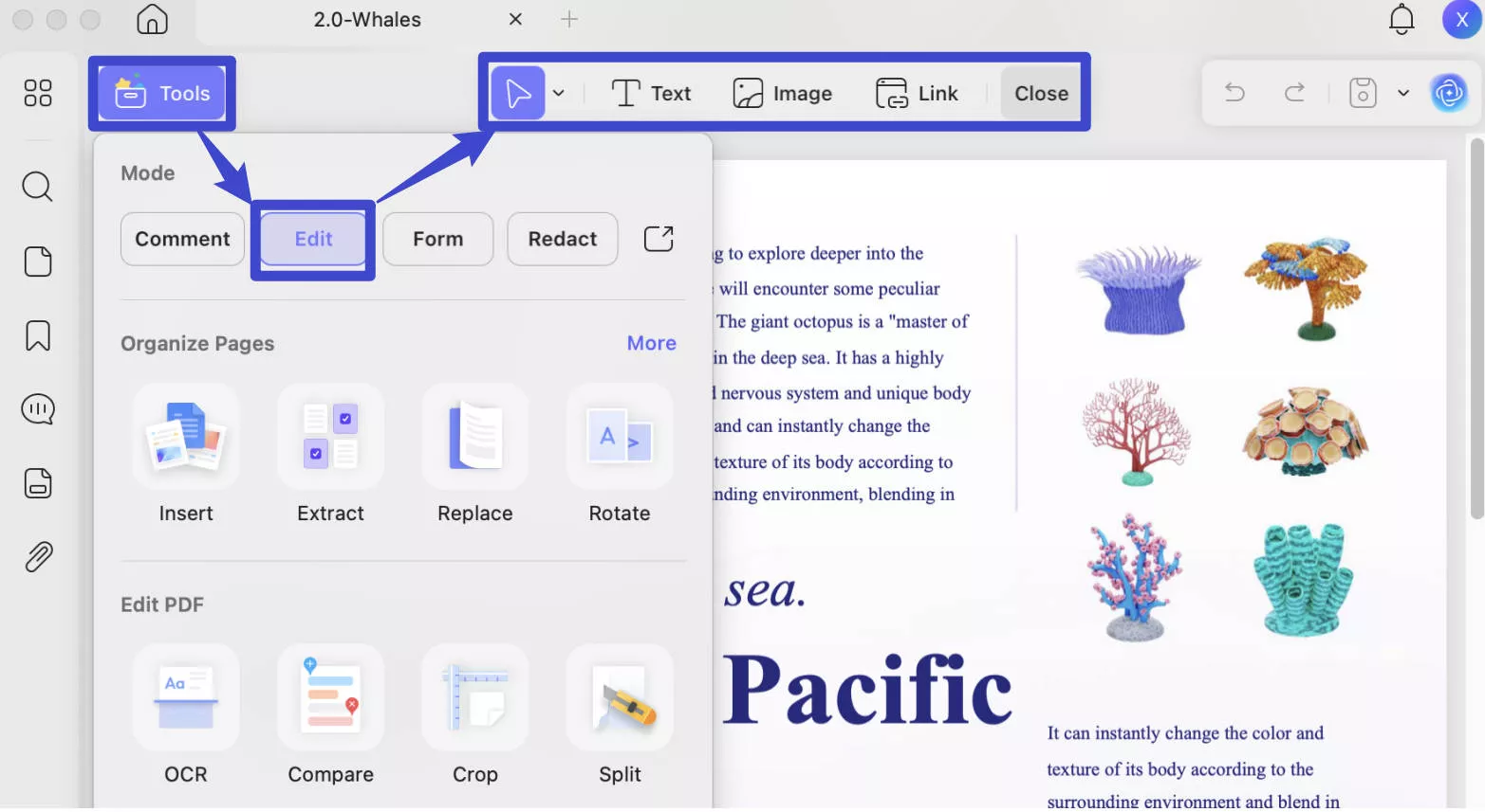edit pdf 