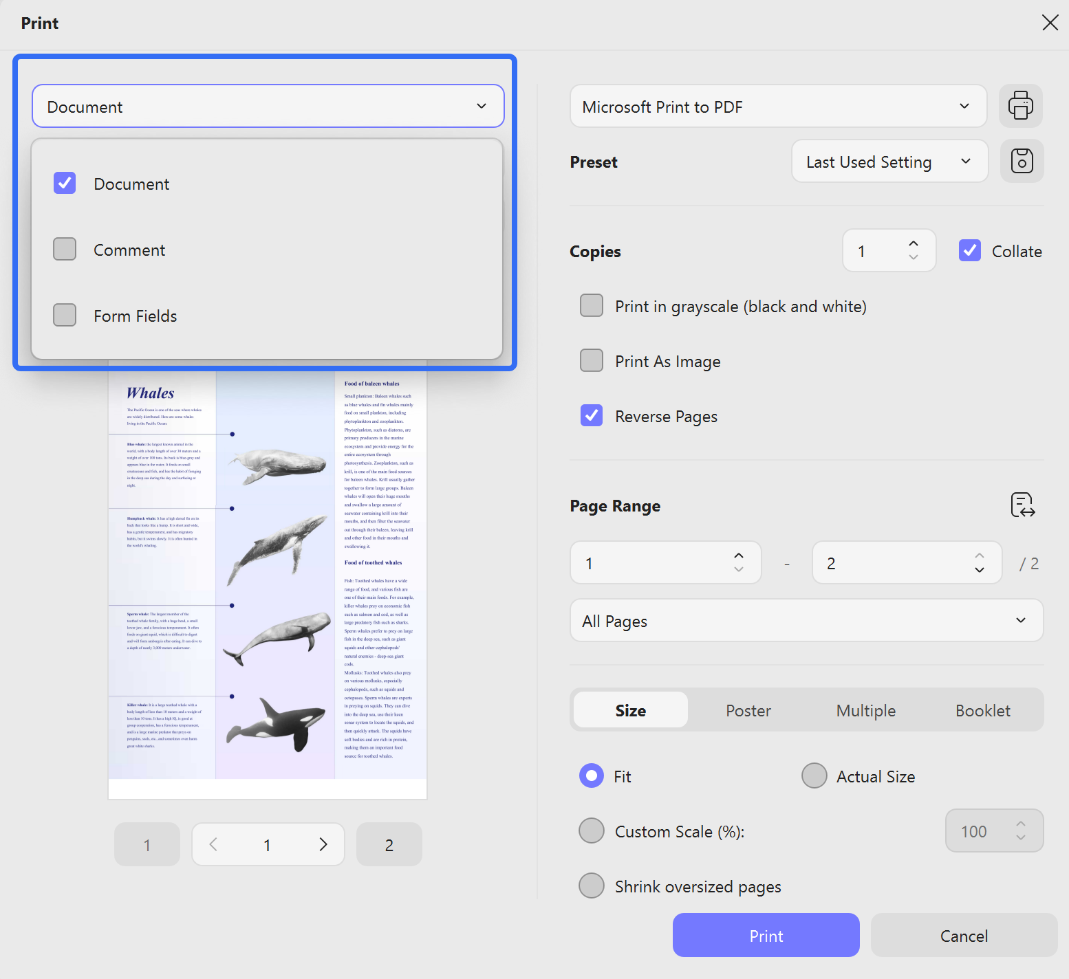 remove comments on pdf with print