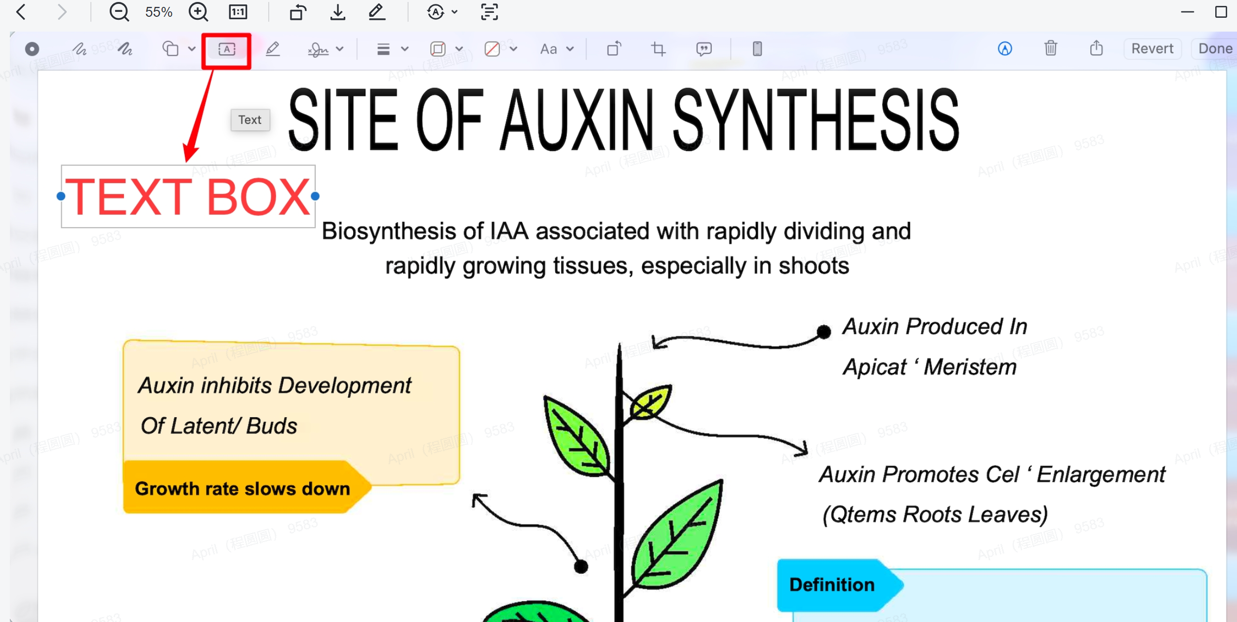 add comment text box to pdf on mac