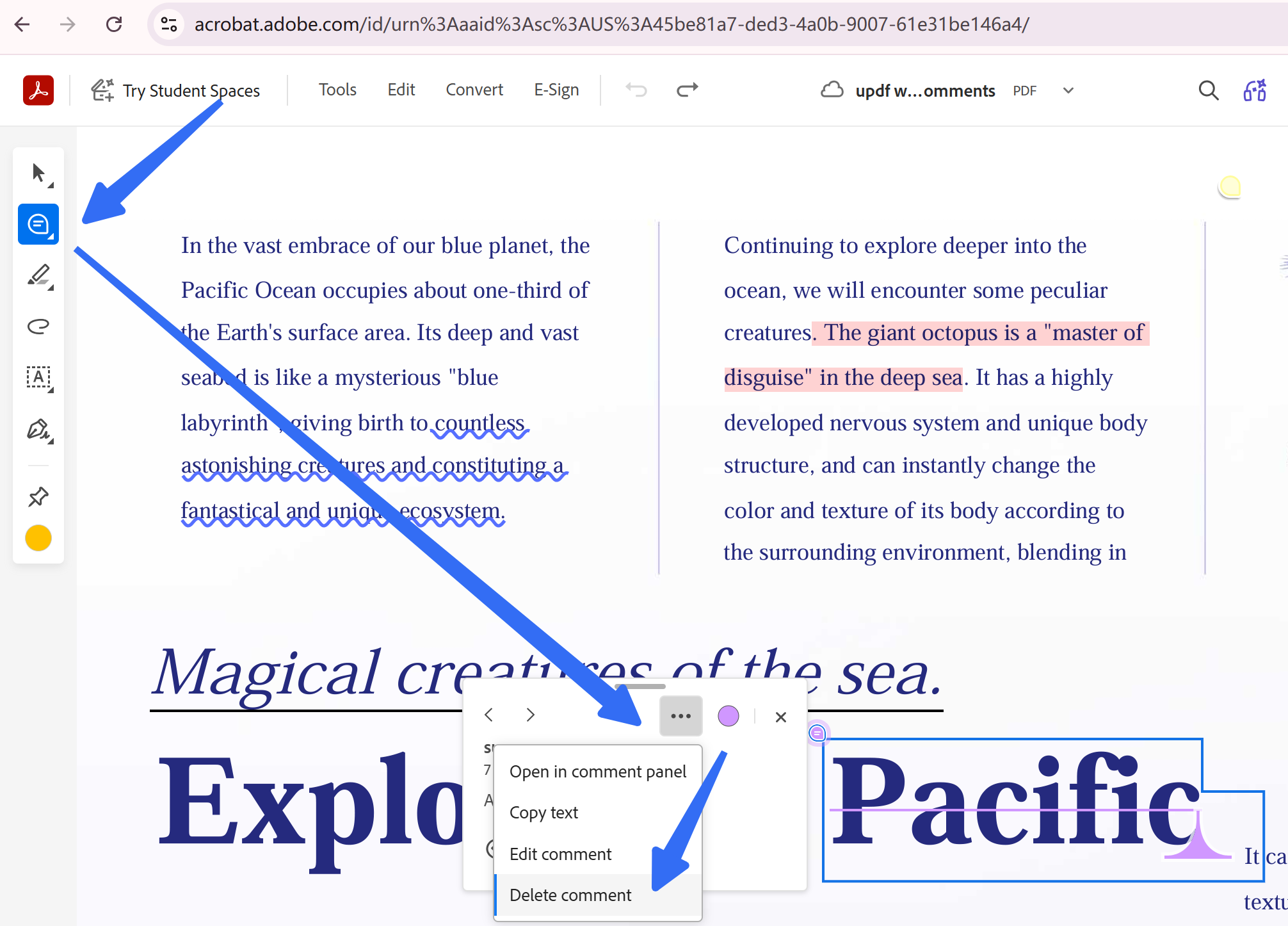 remove comments online adobe